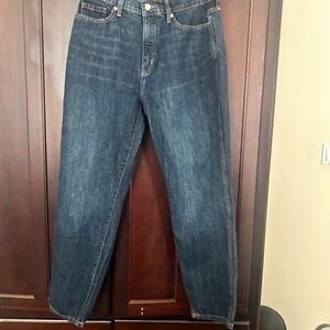 Banana Republic Dark Blue Denim Jeans